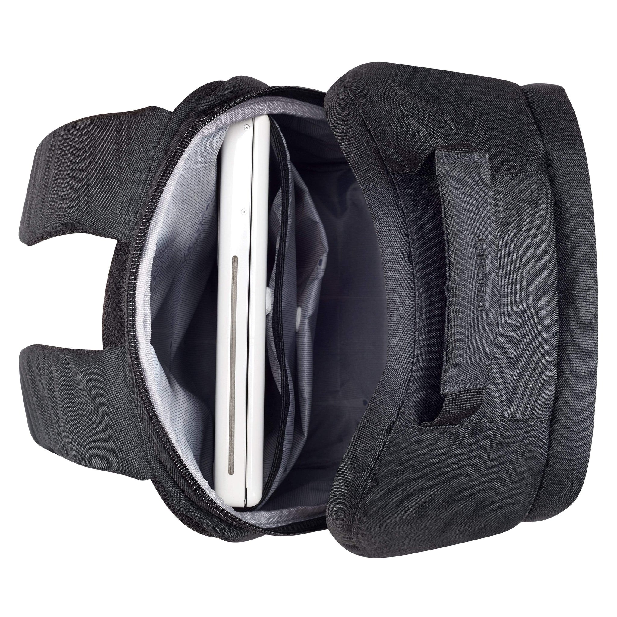 ديلسي باريس سيكوربان