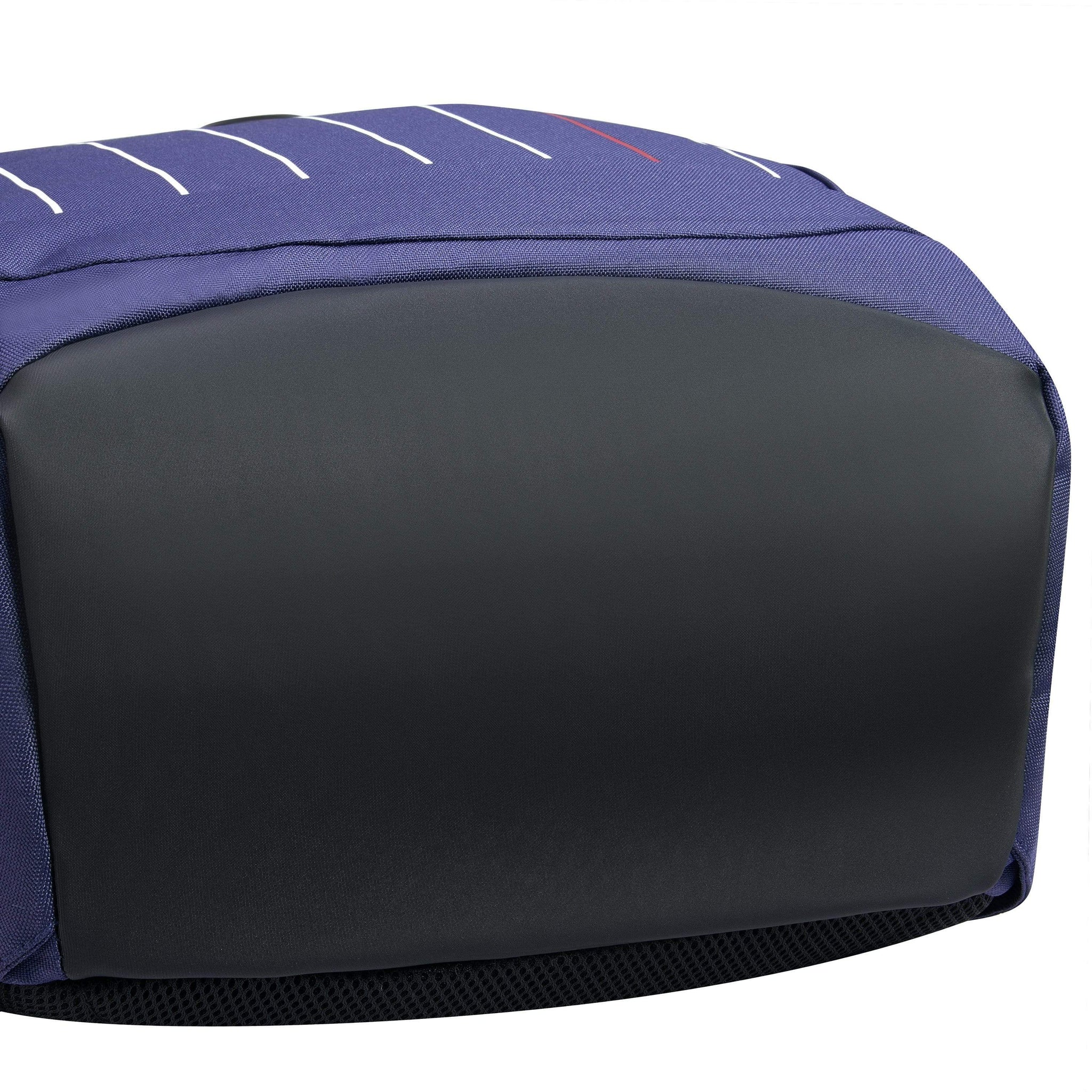 ديلسي باريس سيكوربان