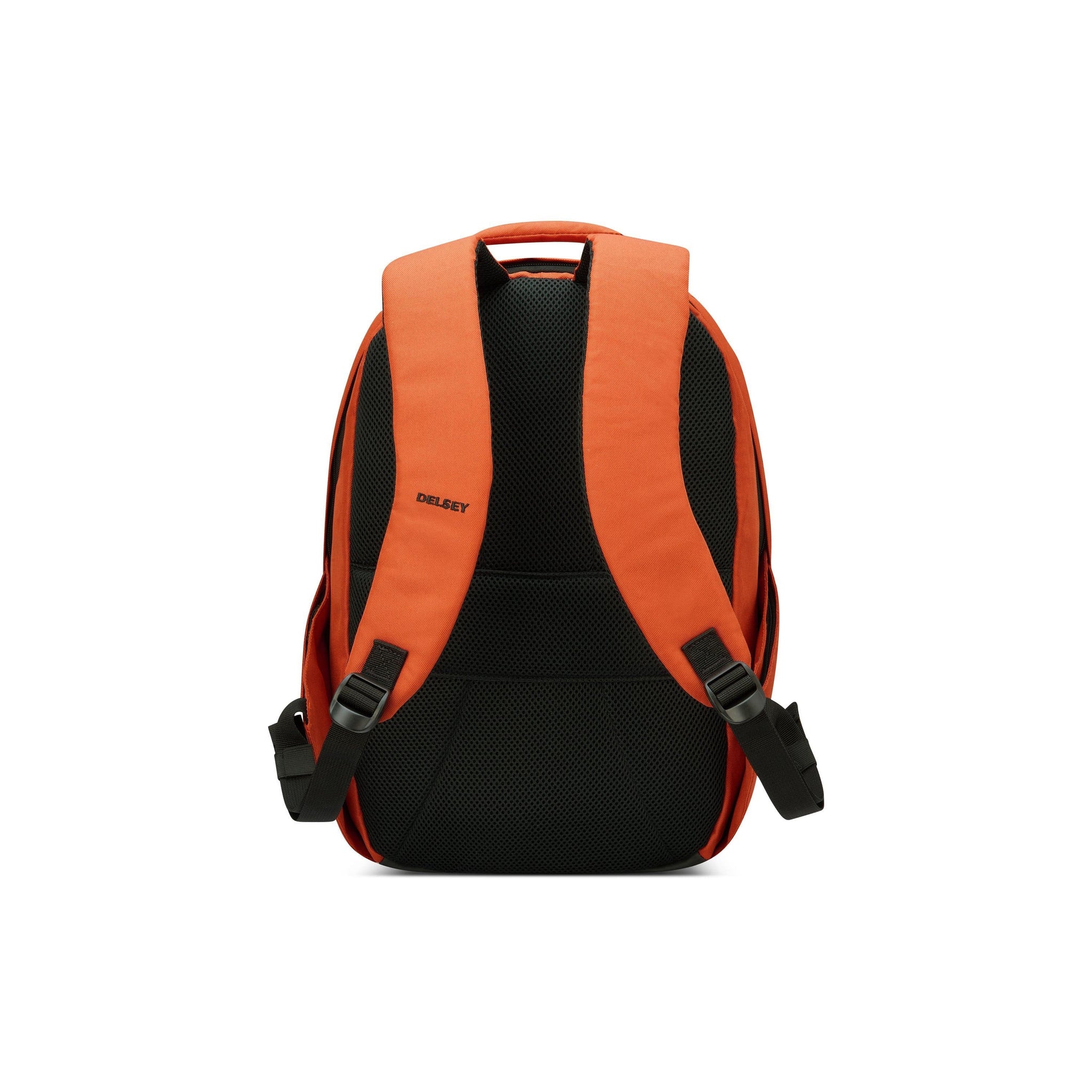 ديلسي باريس سيكوربان