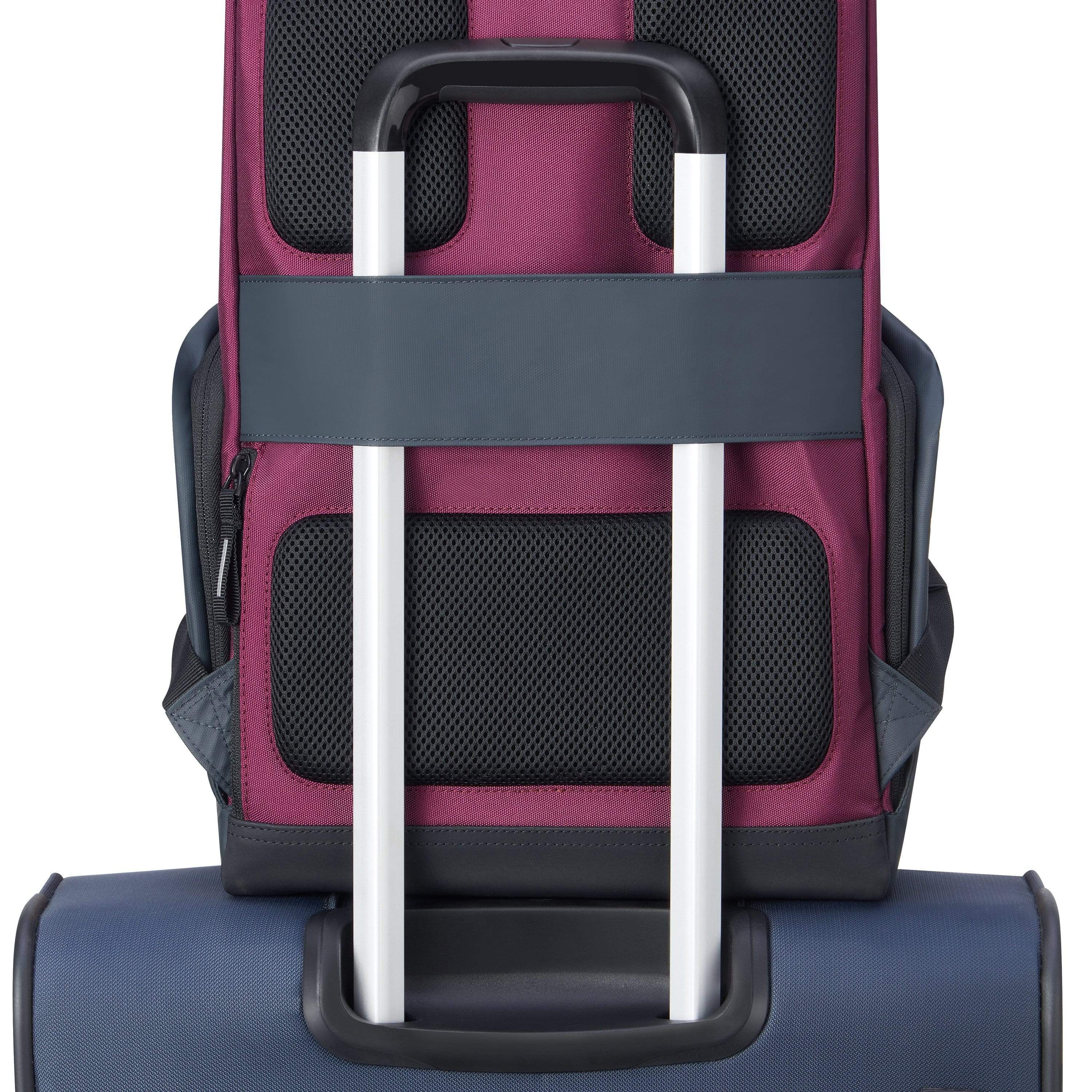 حقيبة ديلسي باريس سيكورفلاب