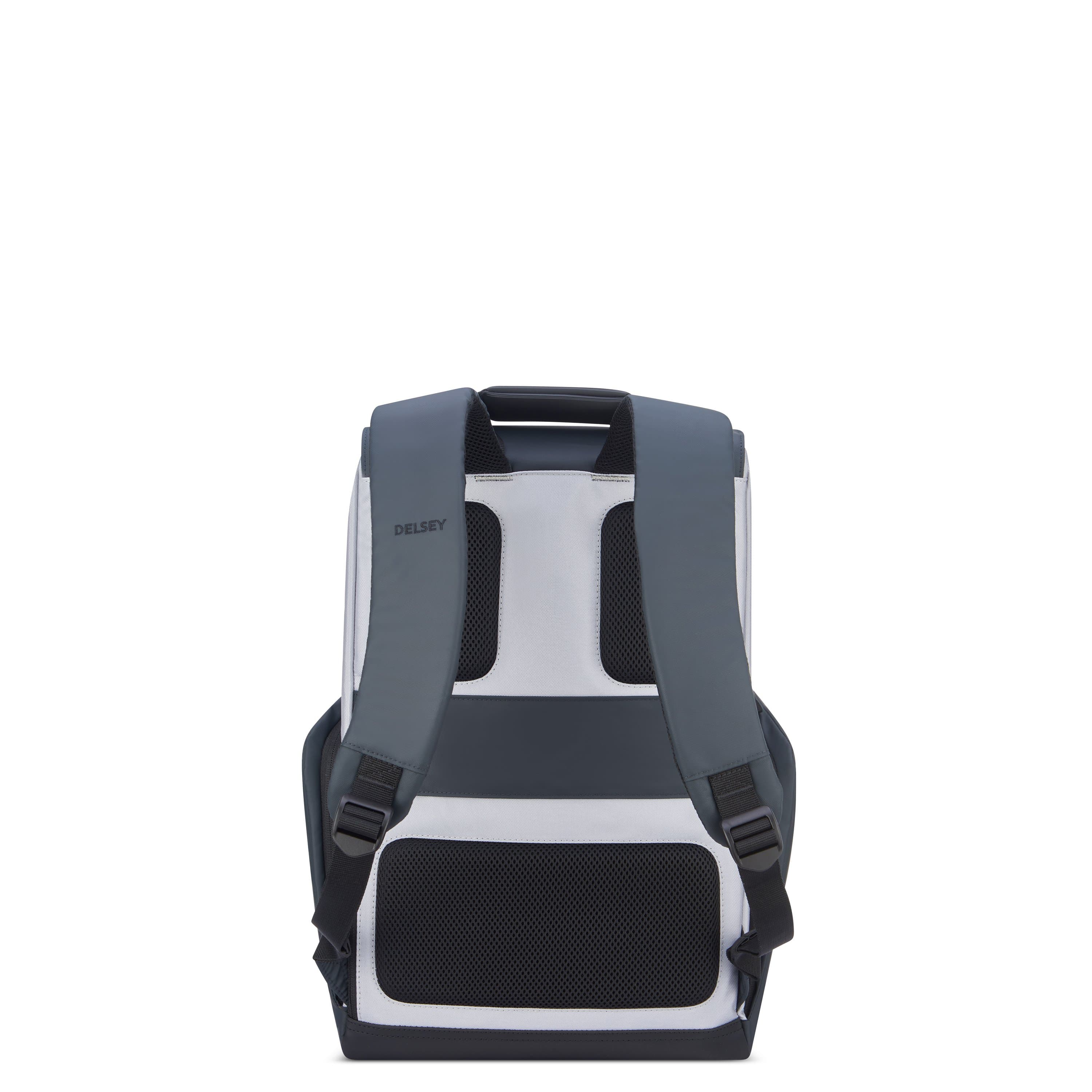 حقيبة ديلسي باريس سيكورفلاب