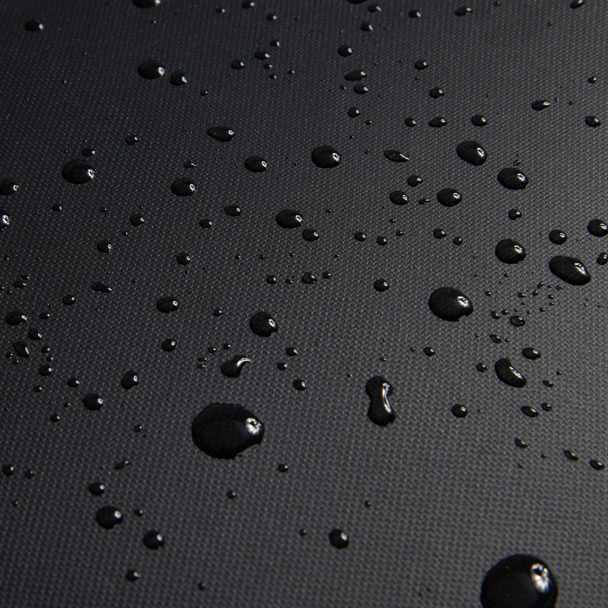 ديلسي باريس راسبيل