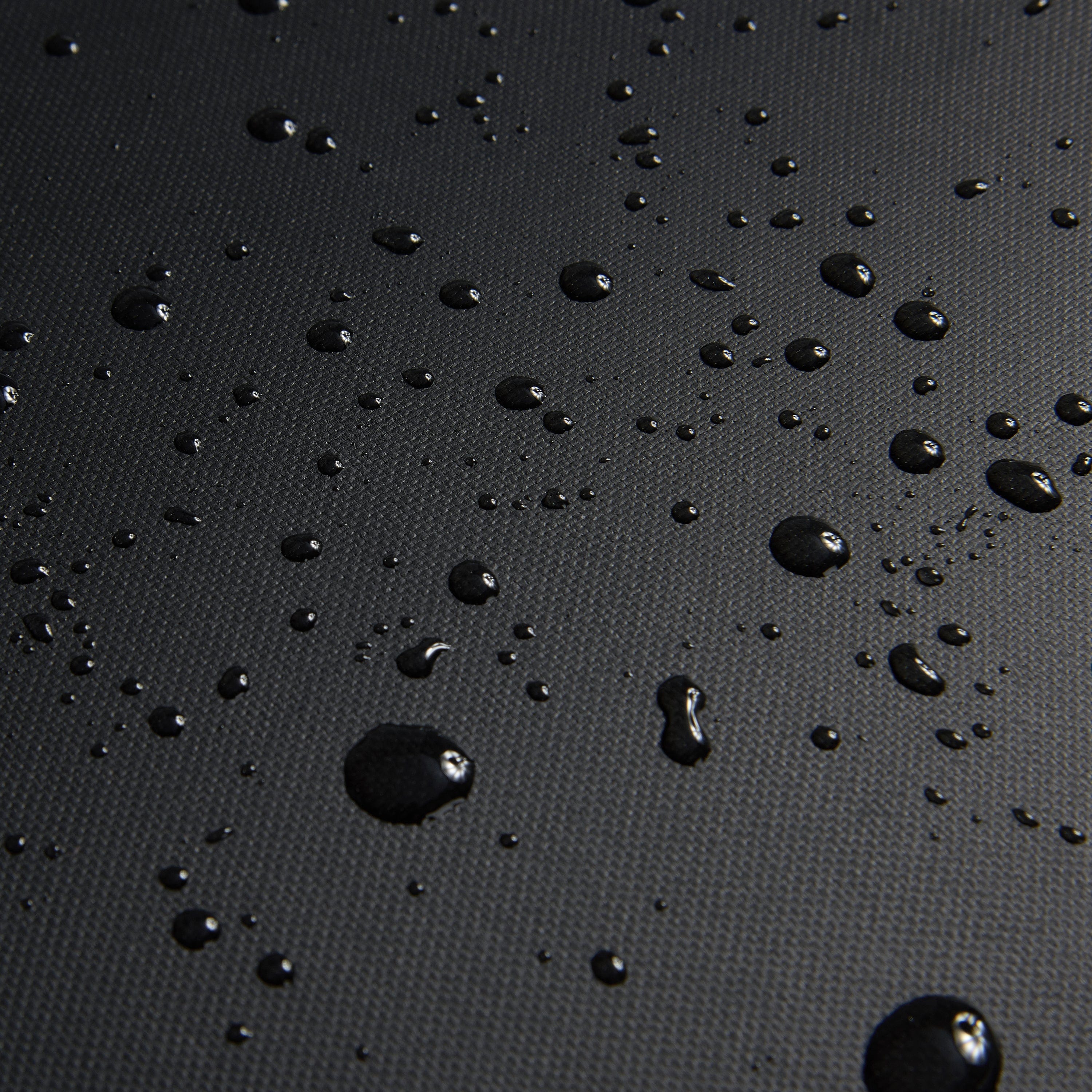 ديلسي باريس راسبيل