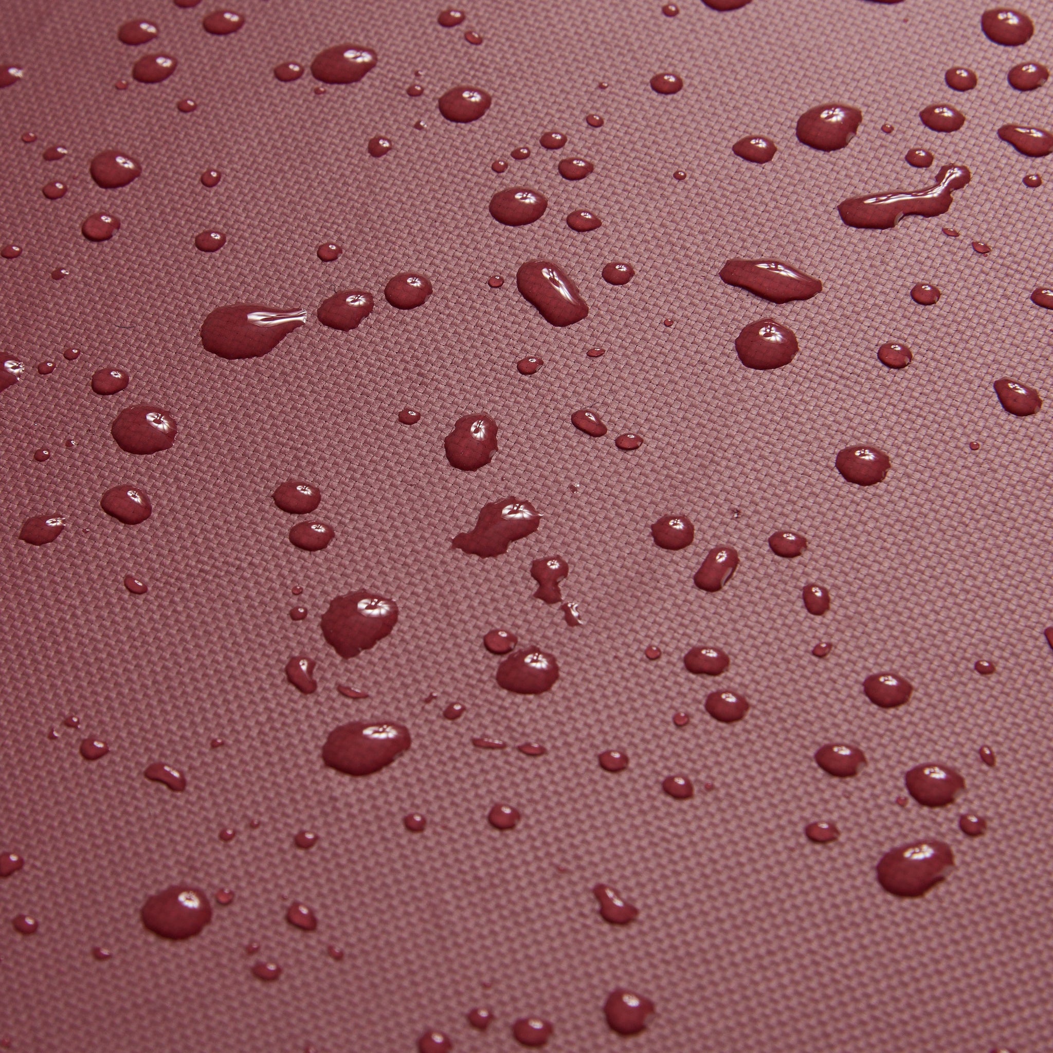 ديلسي باريس راسبيل