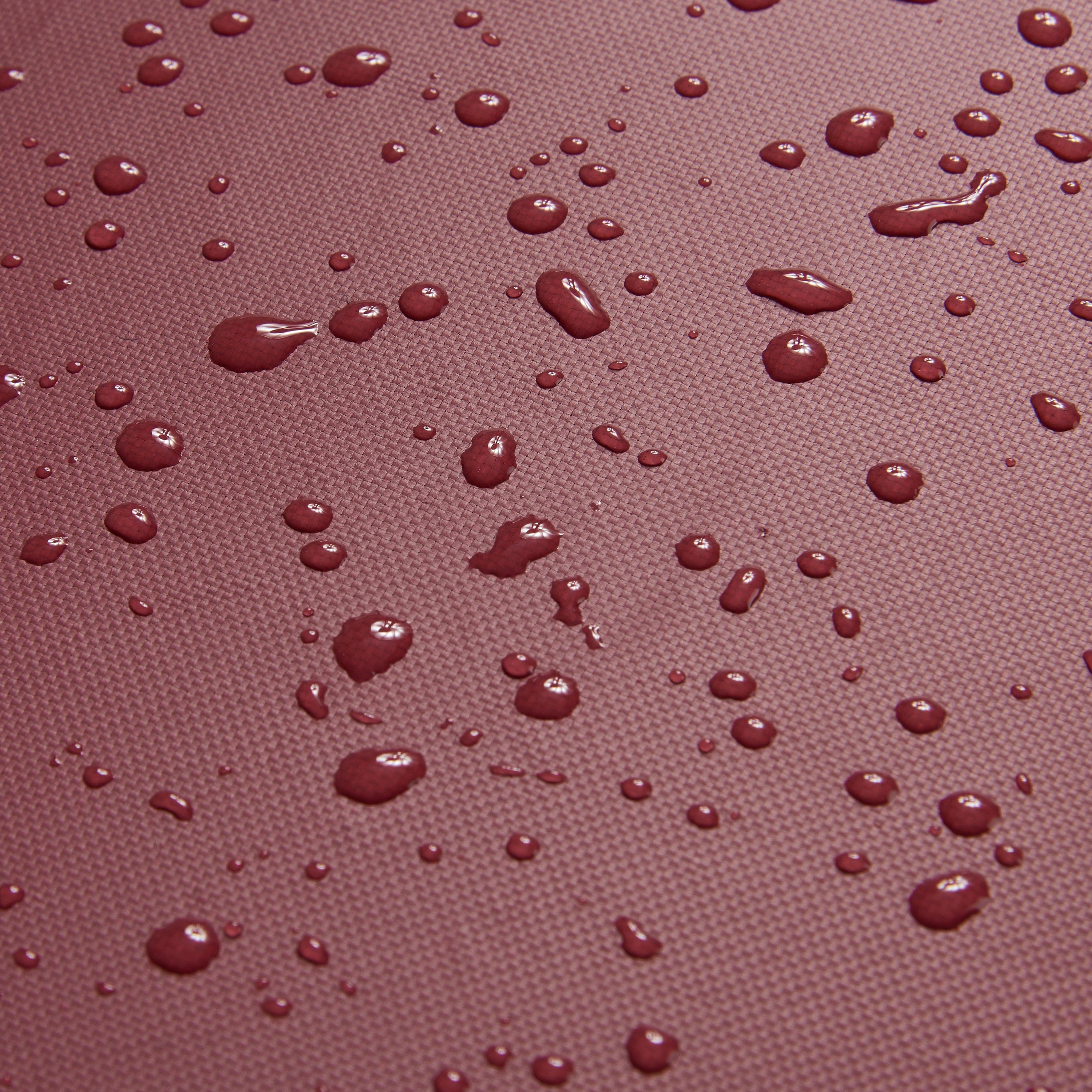 ديلسي باريس راسبيل