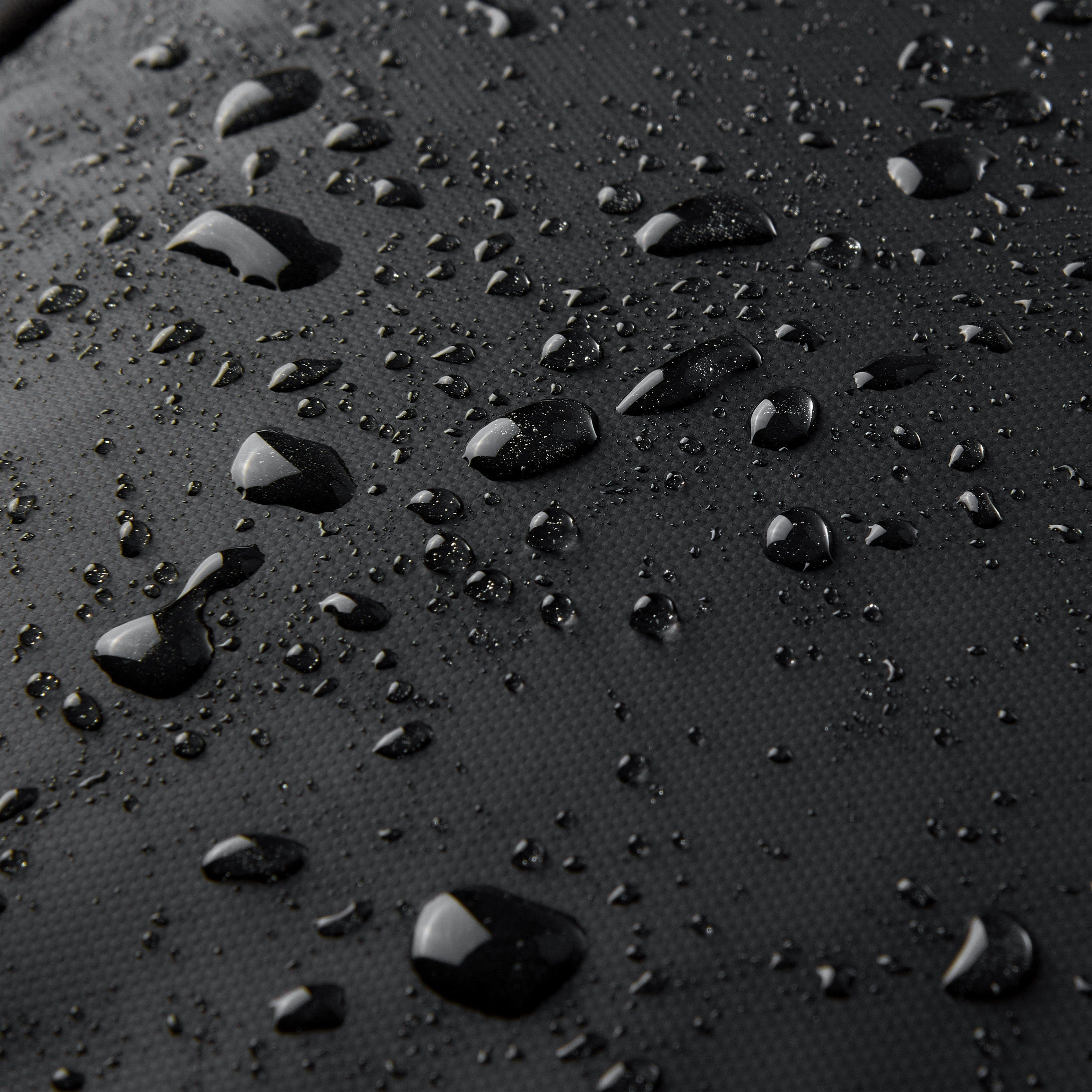 ديلسي باريس راسبيل