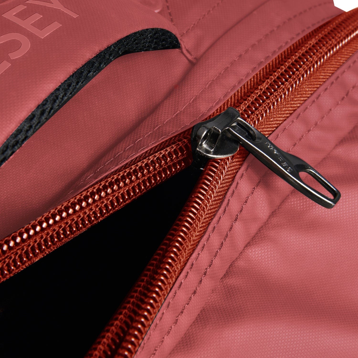 ديلسي باريس راسبيل