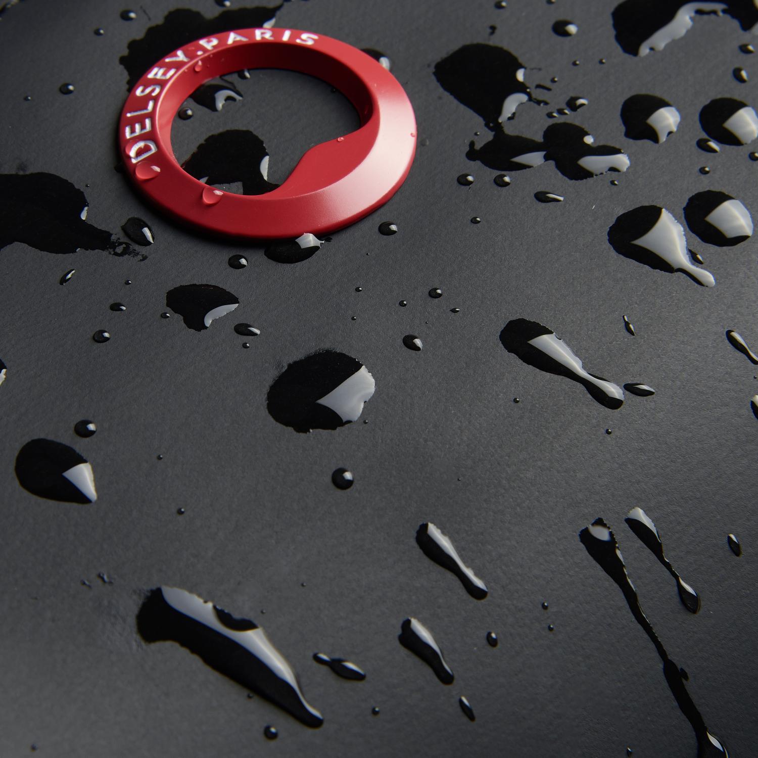 حزام خصر من مجموعة ديلسي باريس سيكورين F1 أسود - 00102010100F1