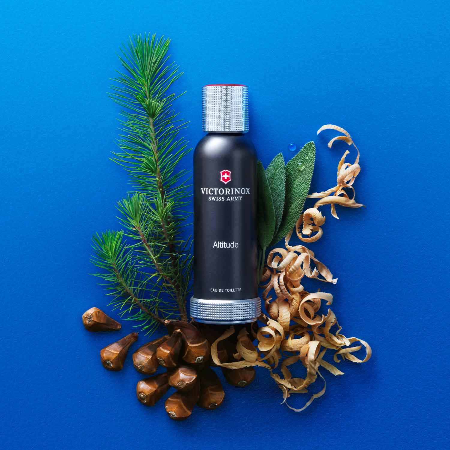 Victorinox Swiss Army Altitude for Him EDT 100ml