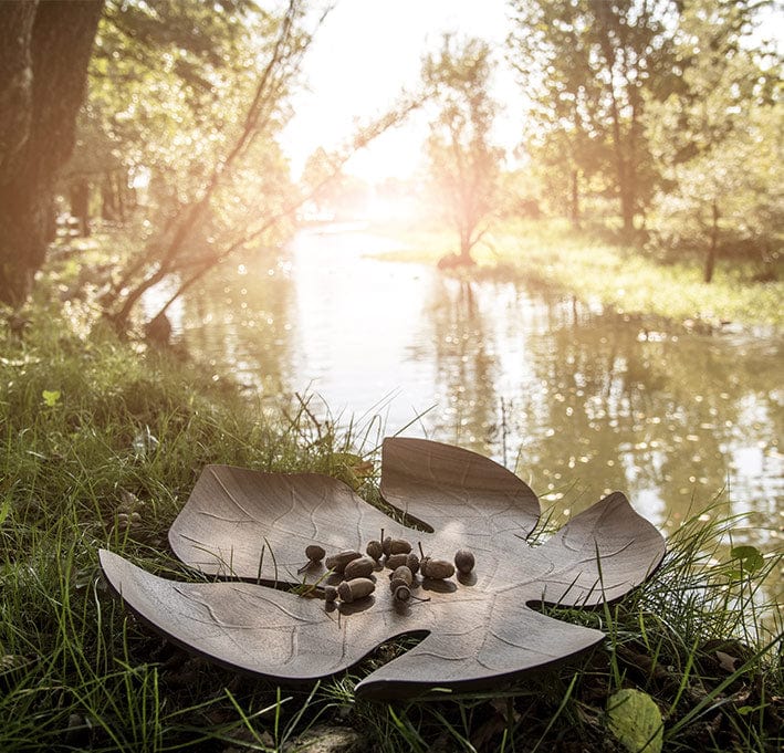 مبشرة الجبنة المخروطية من ليجنوارت، حجم كبير Gc-21