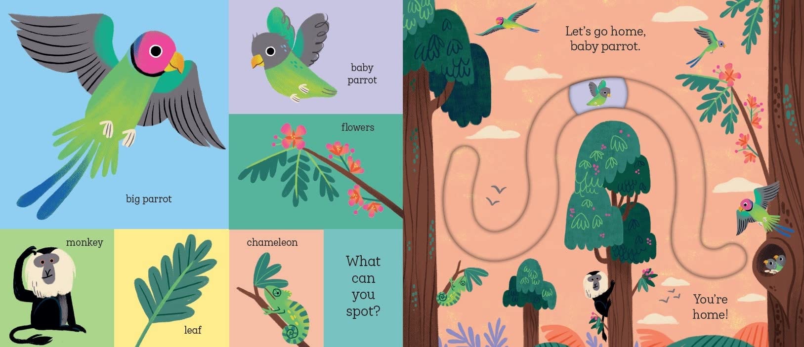 دعنا نعود إلى المنزل، يا صغيري النمر