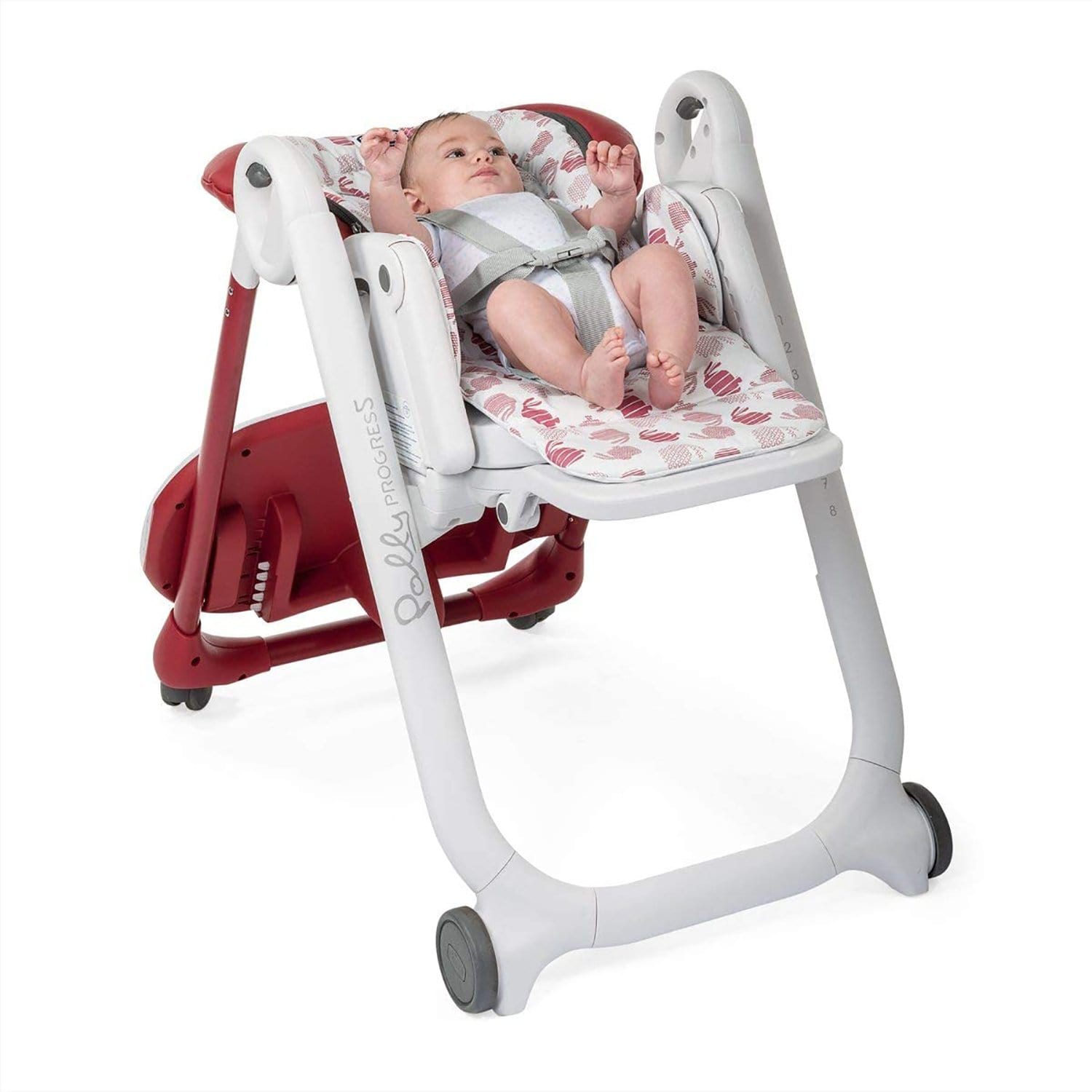 شيكو بولي بروجريس 5 أحمر