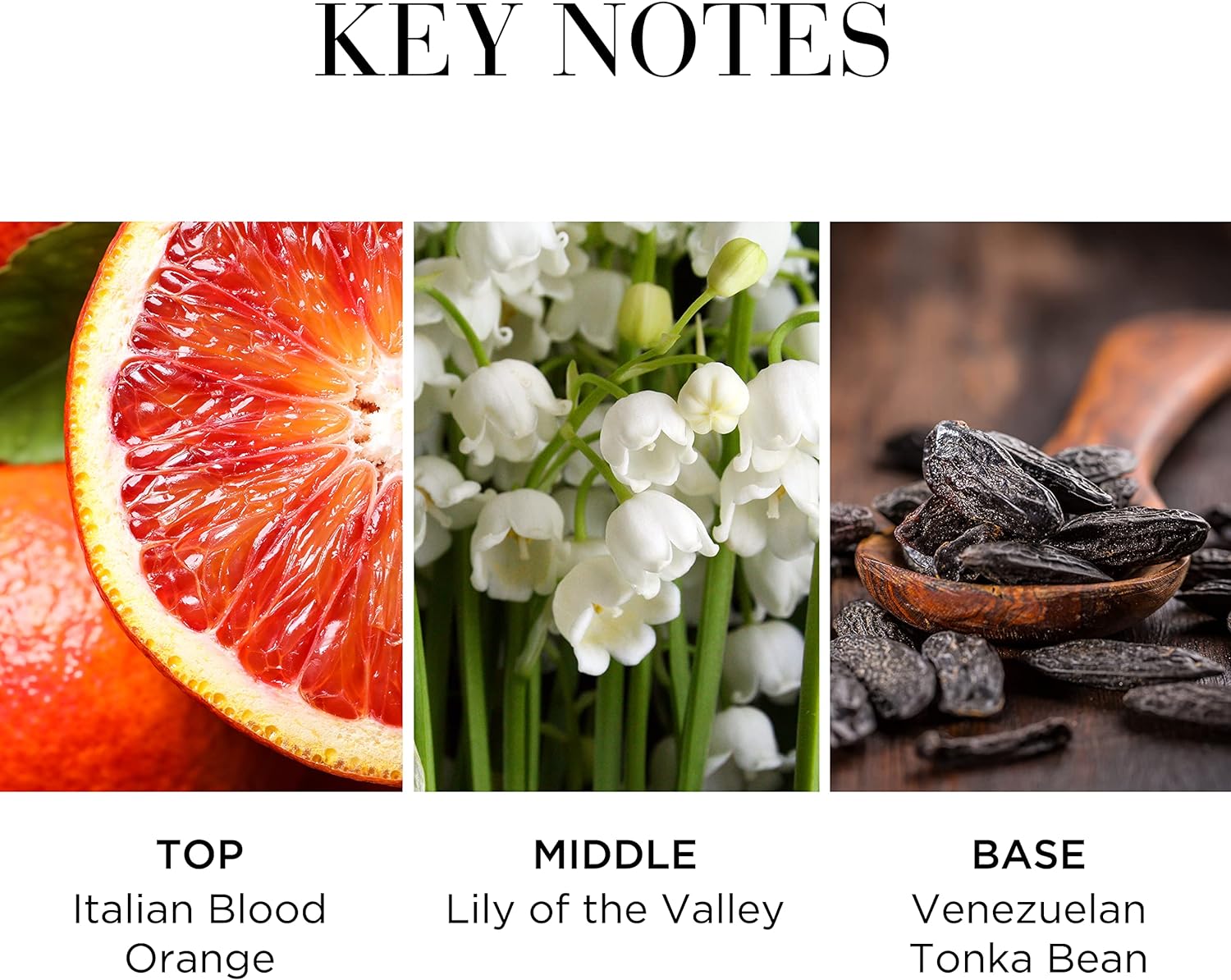 إليزابيث آردن وايت تي فريش أو دو تواليت 100 مل