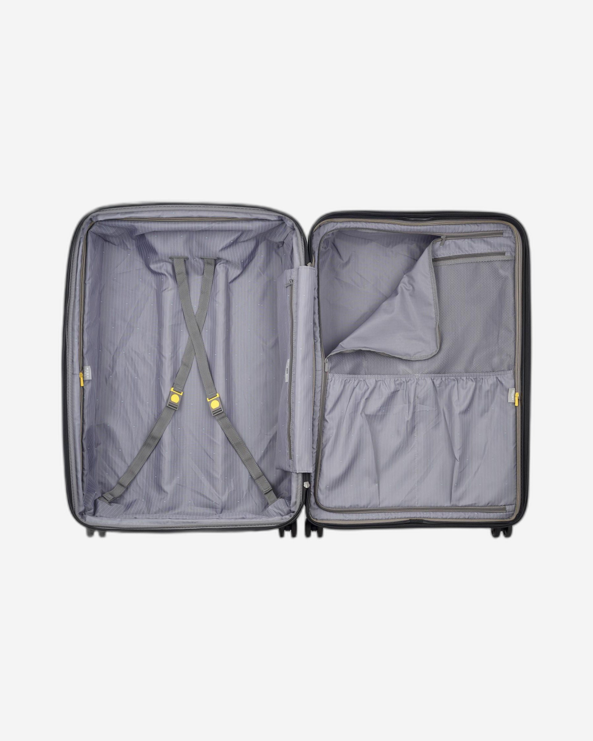 ديلسي باريس بروميناد هارد 2.0