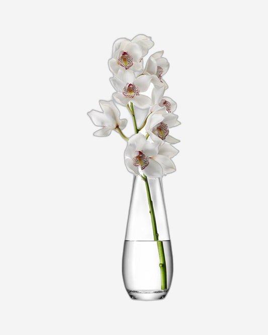 مزهرية شفافة ذات ساق طويلة من زهرة Lsa