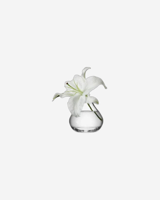 مزهرية أغصان زهور Lsa شفافة