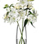 مزهرية Lsa Flower Grand Stem شفافة