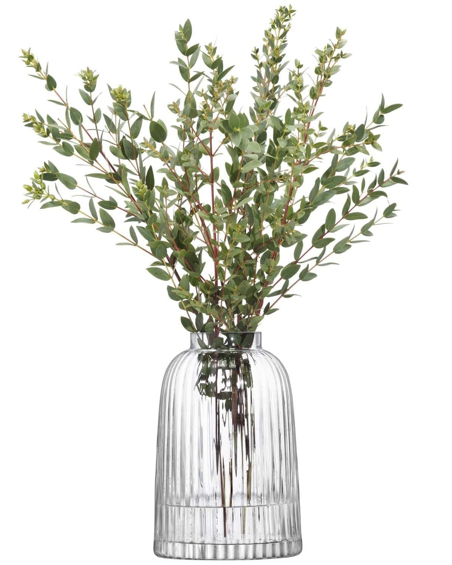 مزهرية مطوية ارتفاع 20 سم شفافة