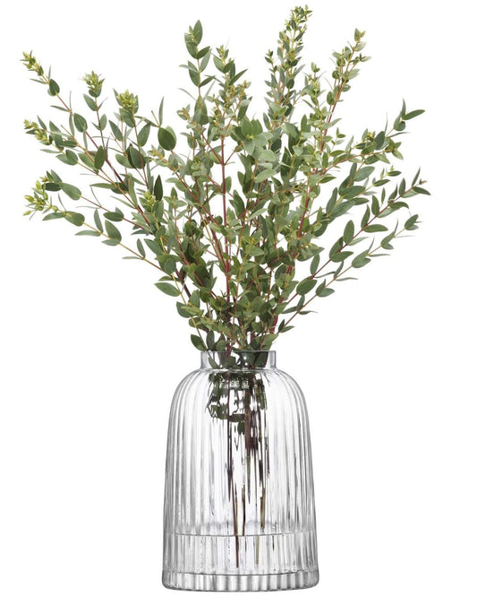 مزهرية مطوية ارتفاع 20 سم شفافة