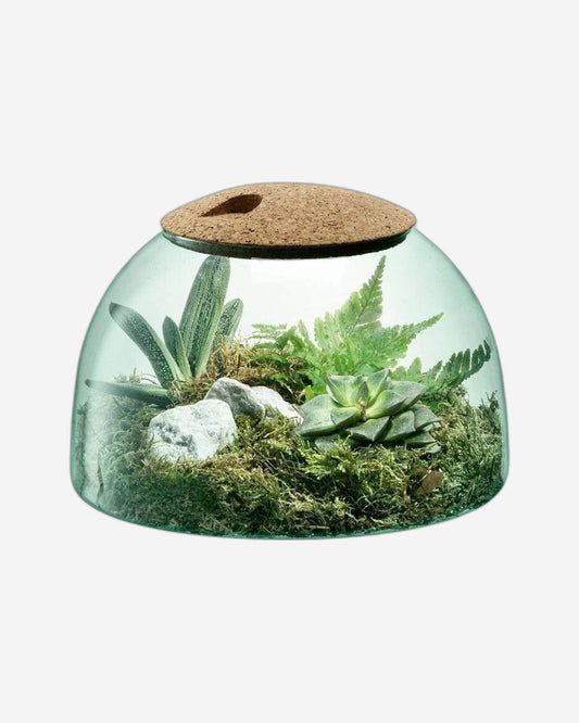 مظلة حديقة LSA المغلقة شفافة/فلينية