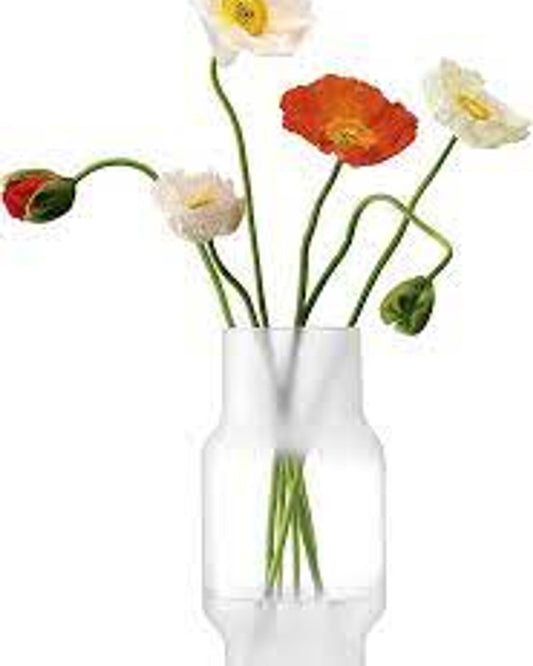 مزهرية ضبابية من Lsa، جزء من الصقيع