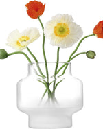 مزهرية ضبابية من Lsa، جزء من الصقيع