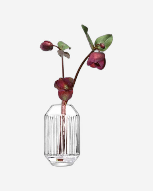 مزهرية دائرية شفافة بارتفاع 15 سم