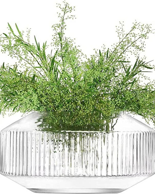 مزهرية روتندا عريضة بارتفاع 14 سم شفافة