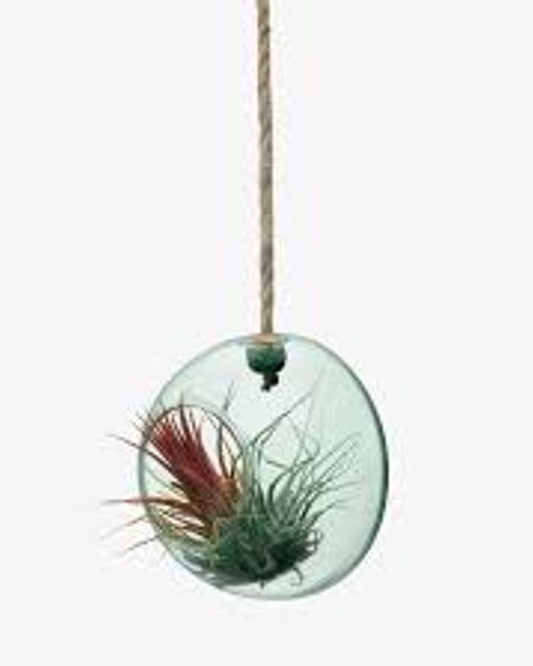 وعاء نباتات معلق من LSA معاد تدويره