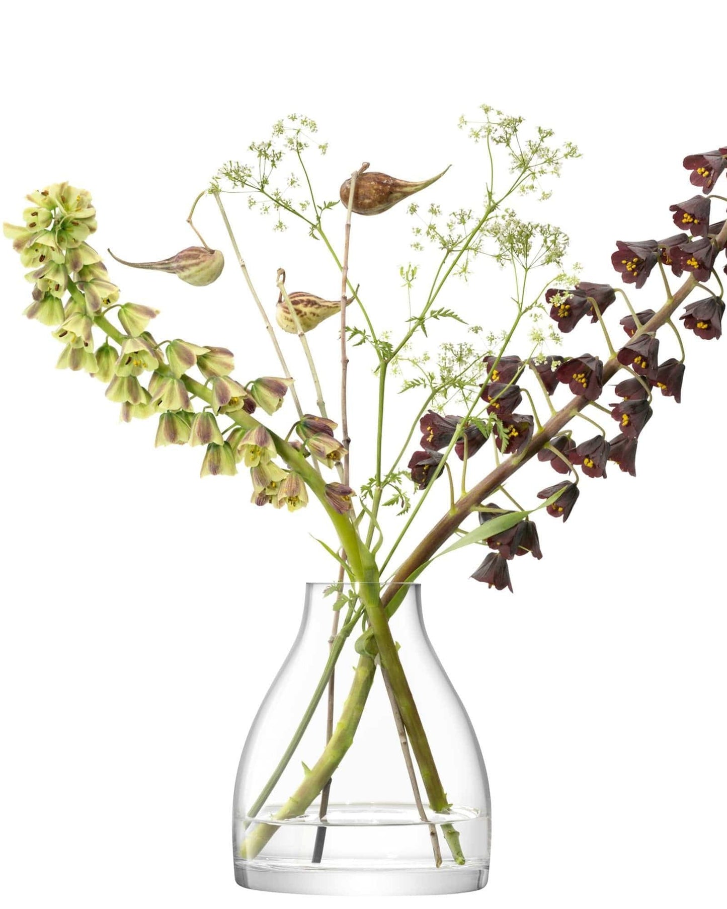 مزهرية فرن زهور Lsa شفافة