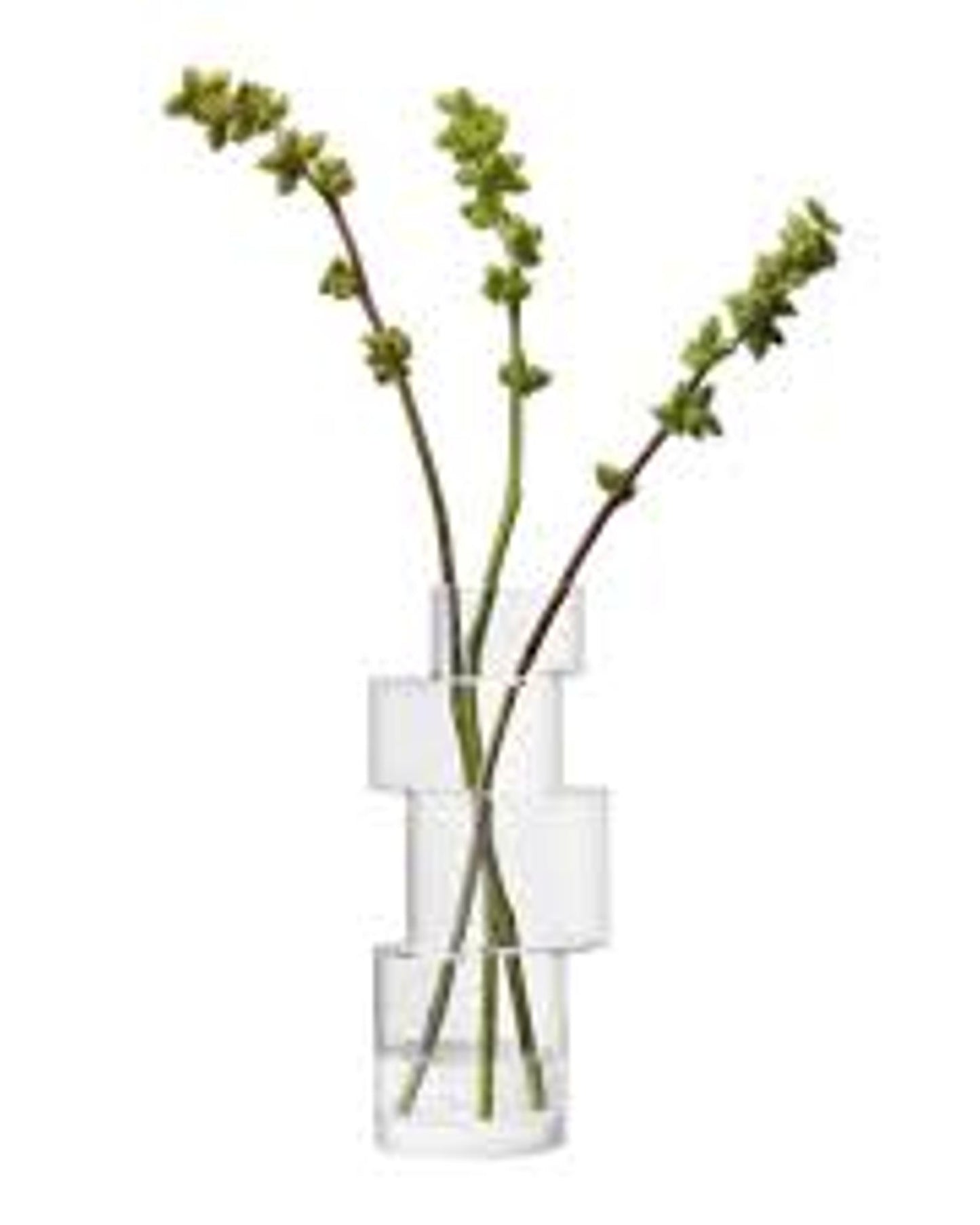 مزهرية شفافة بارتفاع 35 سم