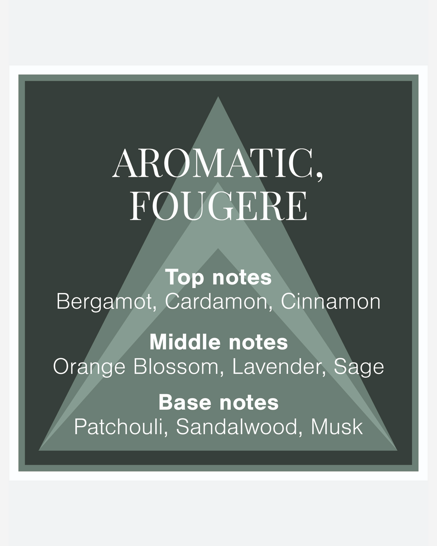 Colour Me Dark Green Eau De Parfum 100Ml
