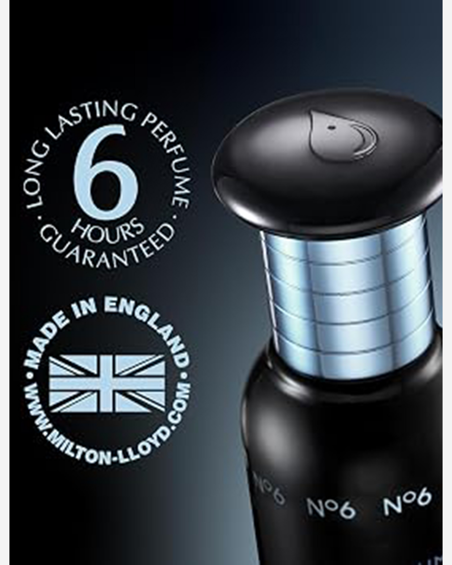 Perfumer'S Choice Rayne No.6 Eau De Parfum 83Ml