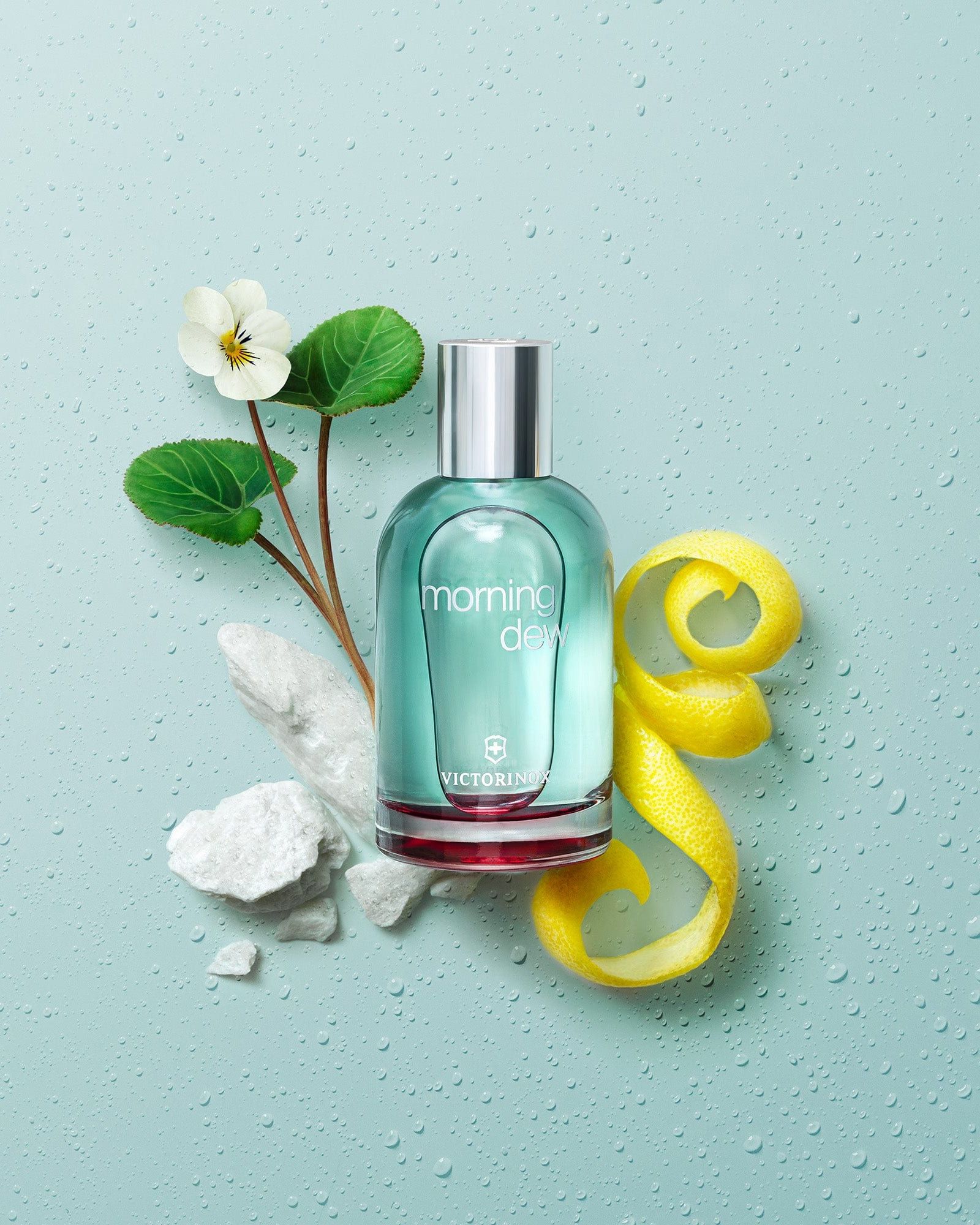 فيكتورينوكس مورنينج ديو للنساء - أو دو تواليت، 100 مل