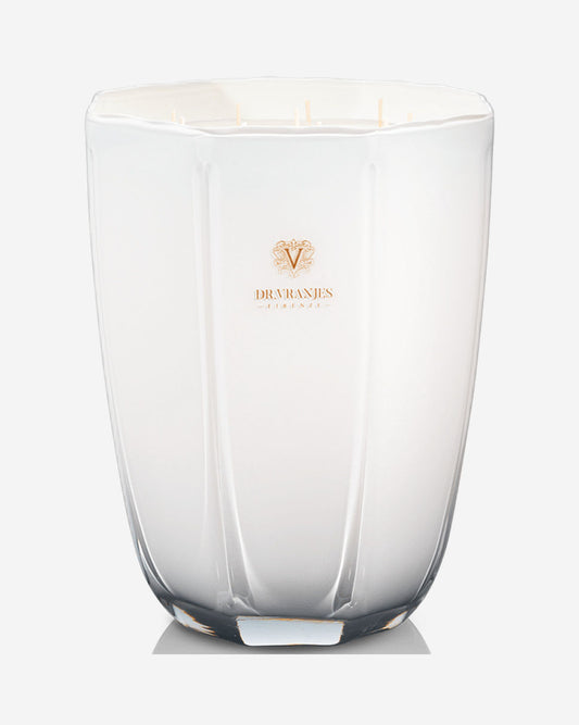 شمعة دكتور فرانيس الزخرفية برائحة الزنجبيل والليمون، ماكسي، 6 كجم