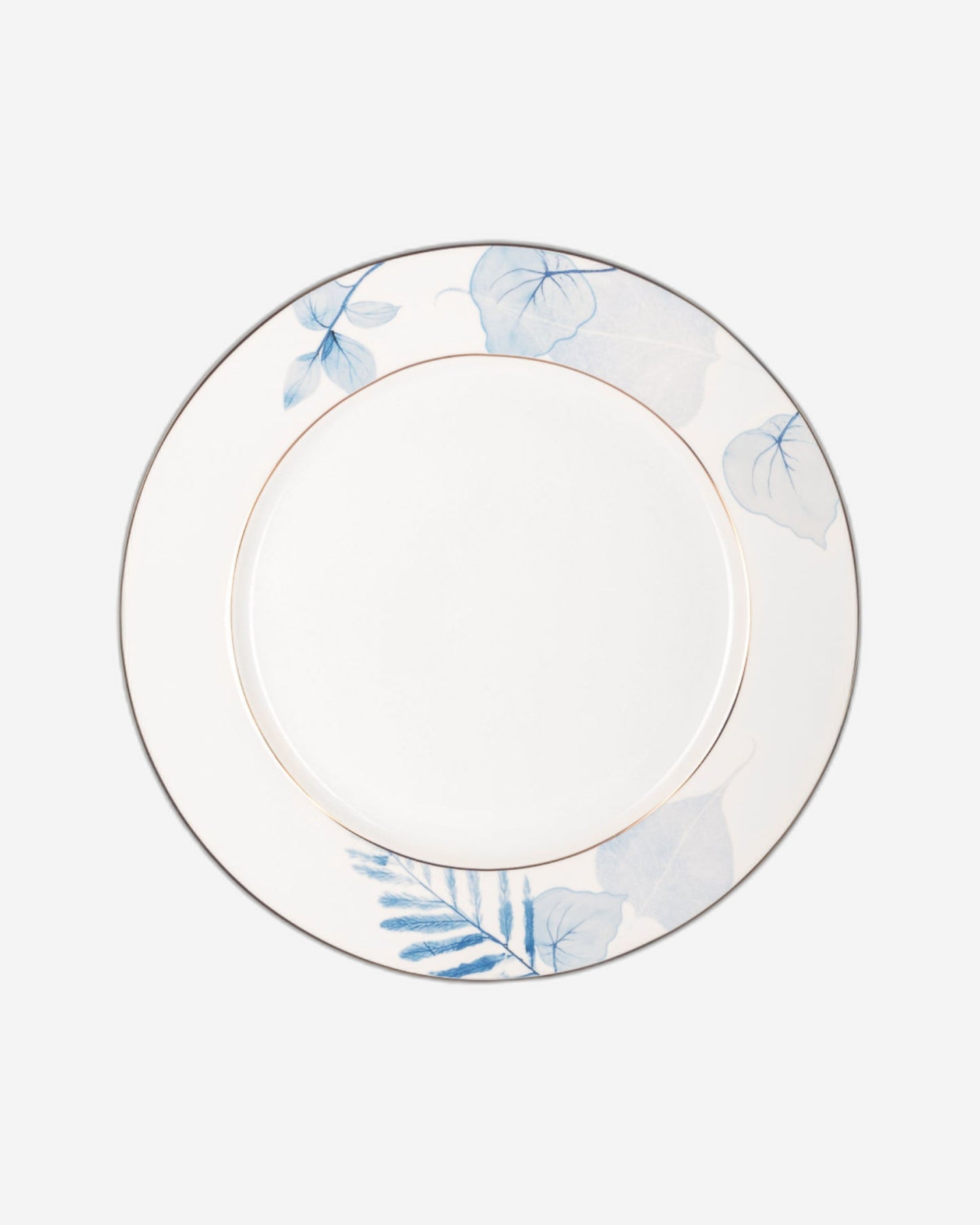 أطباق فيسمان ليون بورسلين 4 قطع 27 سم