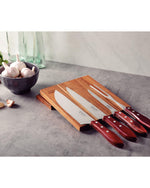 طقم شواء ترامونتينا برازيل بوليوود، 5 قطع، بشفرة من الفولاذ المقاوم للصدأ ومقبض معالج باللون الأحمر، آمن للاستخدام في غسالة الأطباق