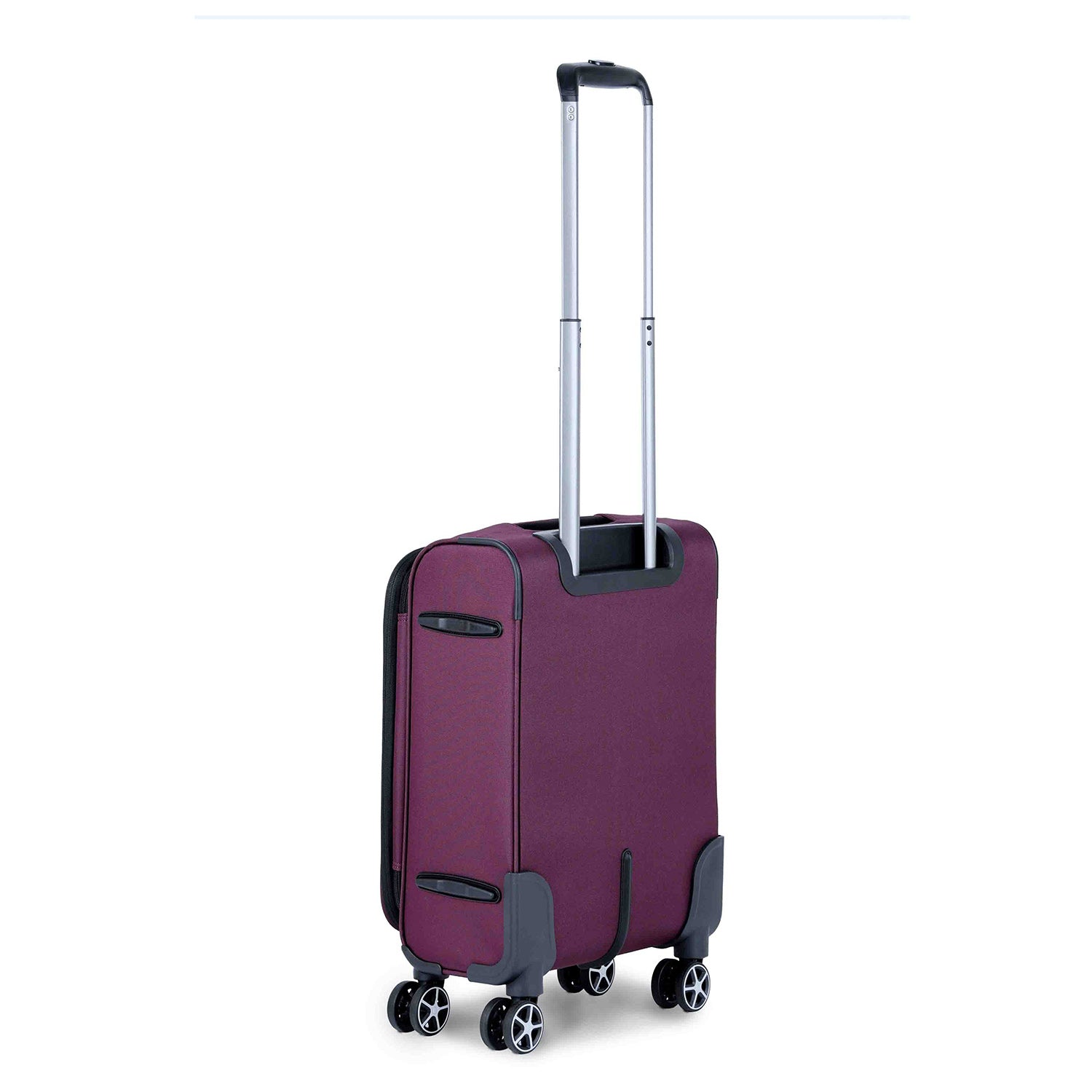 ديلسي باريس بريسيلا