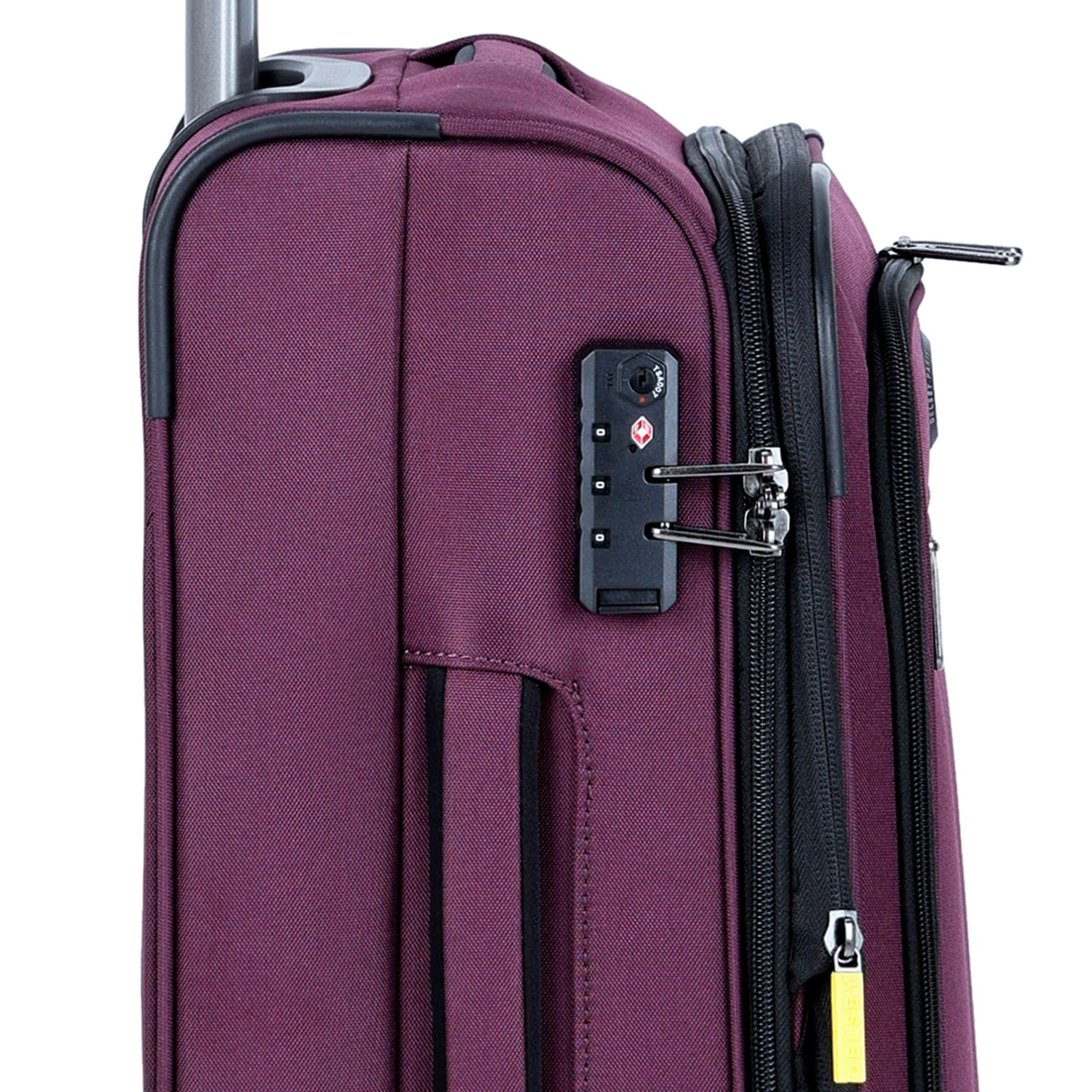 ديلسي باريس بريسيلا