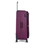 ديلسي باريس بريسيلا