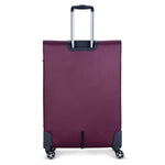 ديلسي باريس بريسيلا