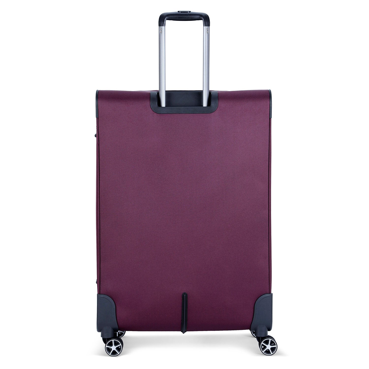 ديلسي باريس بريسيلا