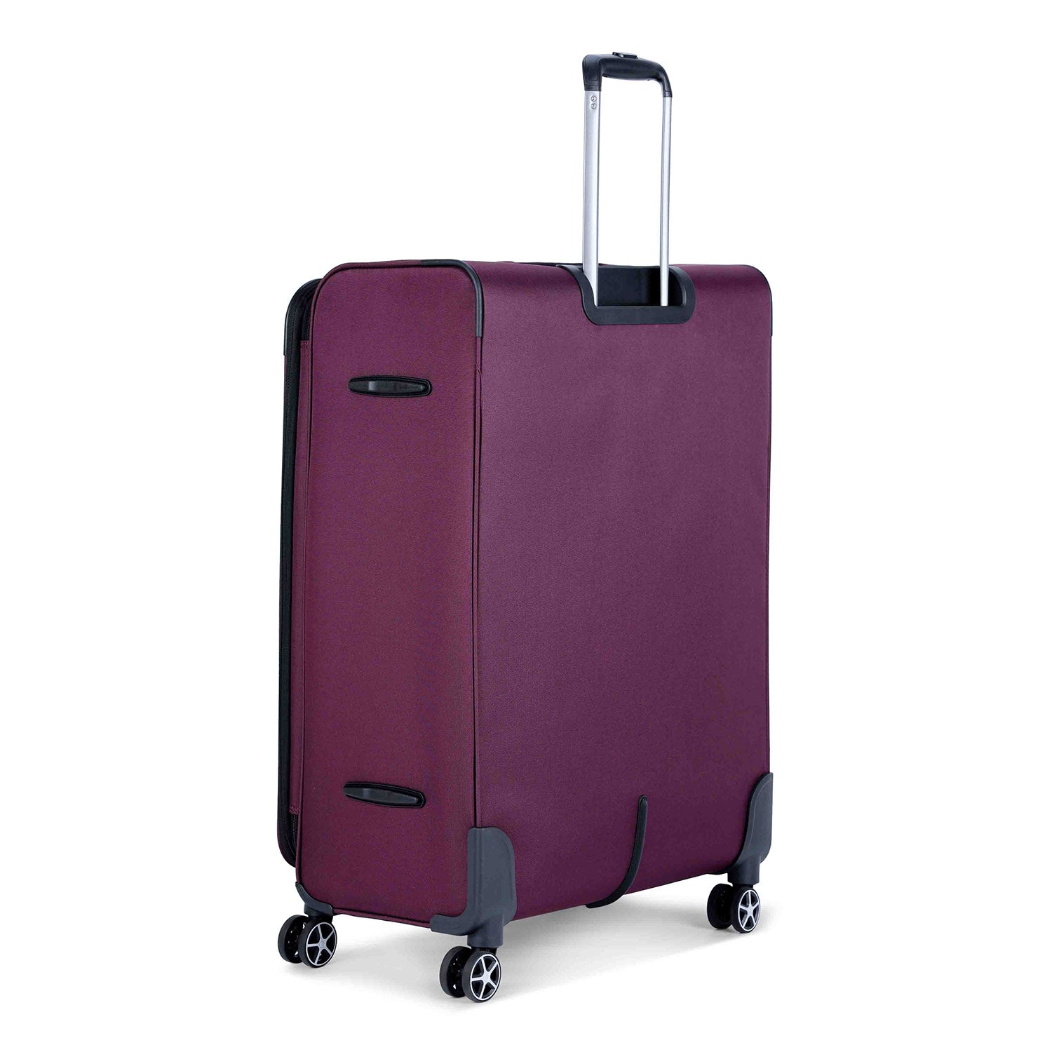 ديلسي باريس بريسيلا