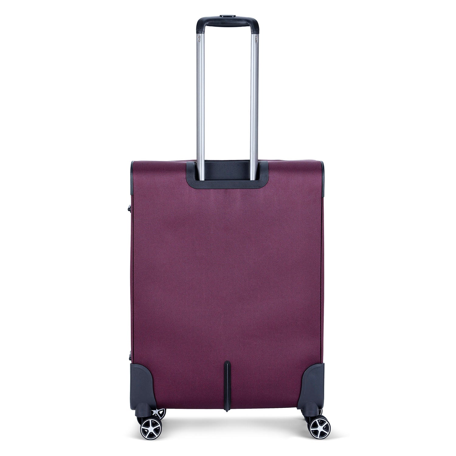 ديلسي باريس بريسيلا