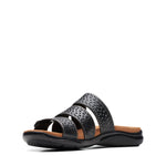 كلاركس كيتلي ووك (مقاس قياسي)