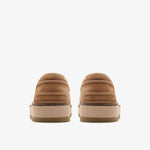 دانتيل كلاركس كلاركهيل (مقاس قياسي)