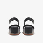 كلاركس كيمي باي (مقاس قياسي)