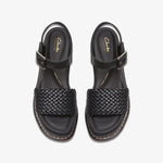 كلاركس كيمي باي (مقاس قياسي)