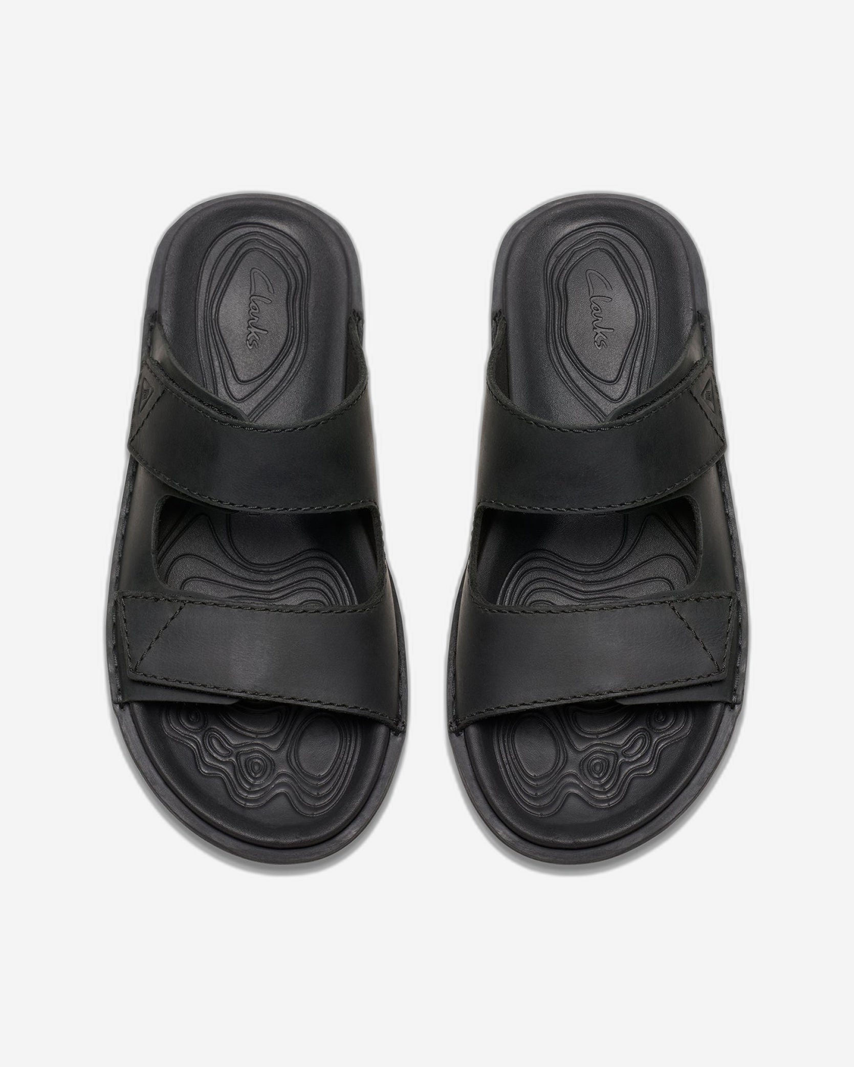 حزام كلاركس ليتون (مقاس قياسي)