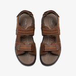 كلاركس ووكفورد ووك (مقاس قياسي)